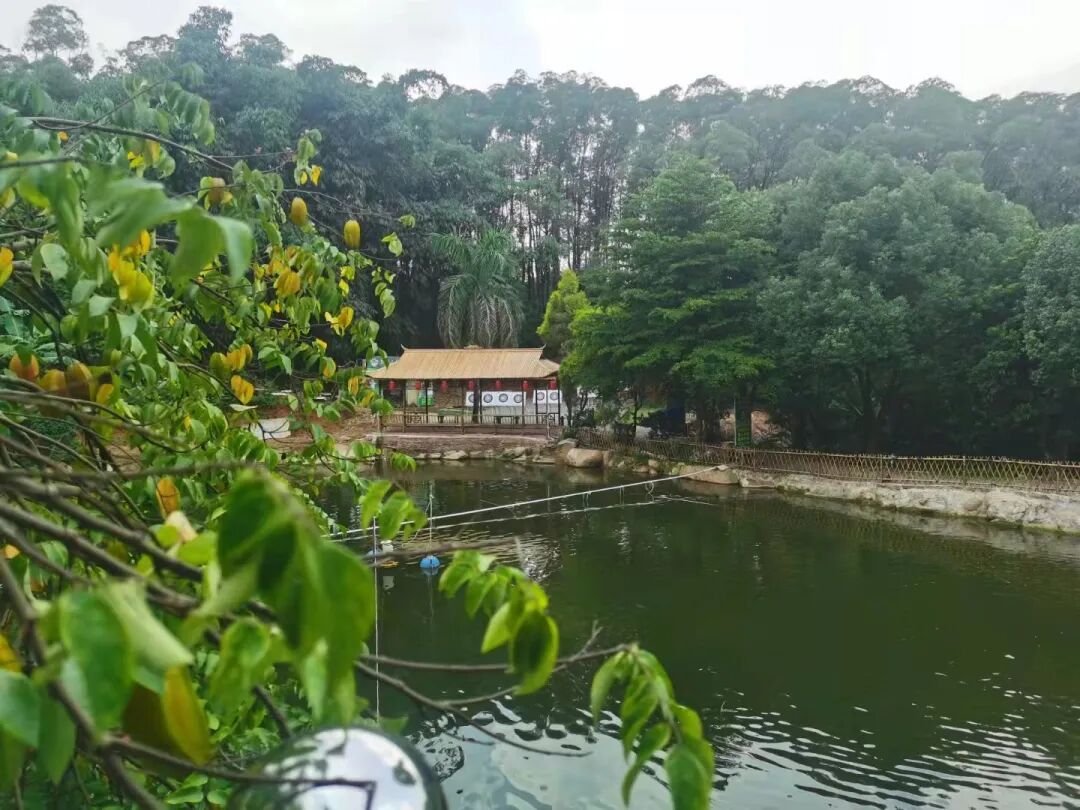 山泉水鱼塘 · 休闲垂钓