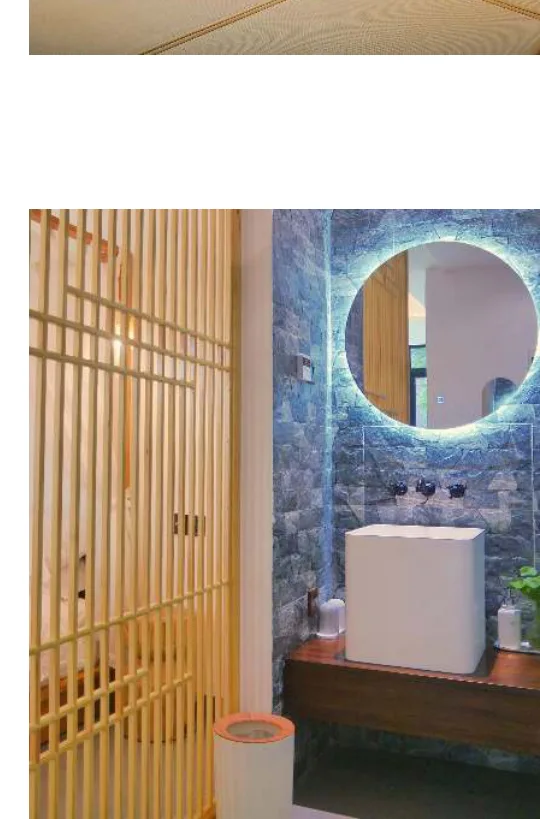 pdfimg10.webp